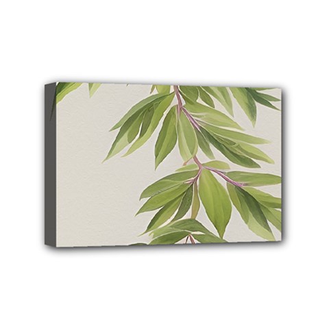 Watercolor Leaves Branch Nature Plant Growing Still Life Botanical Study Mini Canvas 6  X 4  (stretched)