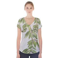 Watercolor Leaves Branch Nature Plant Growing Still Life Botanical Study Short Sleeve Front Detail Top by Posterlux