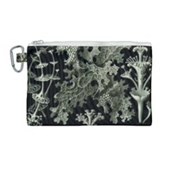 Weave Haeckel Lichenes Photobionten Canvas Cosmetic Bag (large) by Cemarart