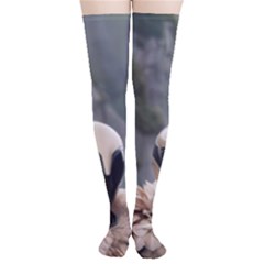 Digital Rebel  Thigh High Stockings