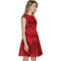 Red Roses , Flowers, Red Roses Cap Sleeve High Waist Dress View3