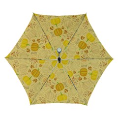 Pumpkins Autumn Fall Harvest Automatic Folding Umbrella With Case (small)