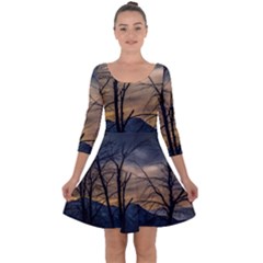 Tree Silhouette At Border Of Nahuel Haupi Lake, Rio Negro, Argentina Quarter Sleeve Skater Dress by dflcprintsclothing