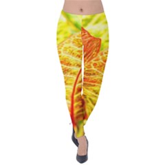 Leaves Plant Pattern Croton Nature Velvet Leggings by Sabxi