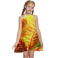 Leaves Plant Pattern Croton Nature Kids  Halter Collar Waist Tie Chiffon Dress by Sabxi