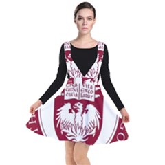 University Of Chicago Plunge Pinafore Dress by avitendut