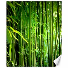 Bamboo Canvas 8  X 10  (unframed) by Siebenhuehner