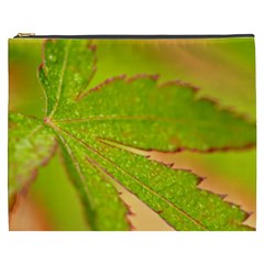 Leaf Cosmetic Bag (xxxl) by Siebenhuehner