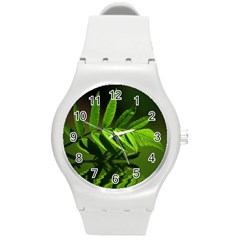 Leaf Plastic Sport Watch (medium)