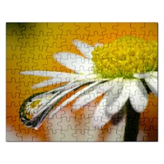 Daisy With Drops Jigsaw Puzzle (rectangle) by Siebenhuehner