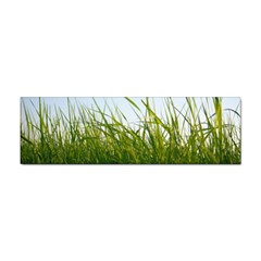 Grass Bumper Sticker by Siebenhuehner