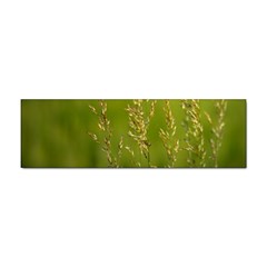 Grass Bumper Sticker by Siebenhuehner