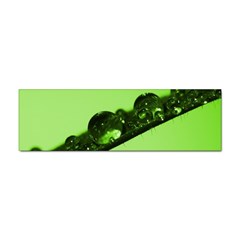 Green Drops Bumper Sticker by Siebenhuehner