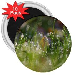 Drops 3  Button Magnet (10 Pack) by Siebenhuehner