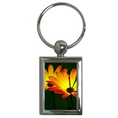 Osterspermum Key Chain (rectangle) by Siebenhuehner