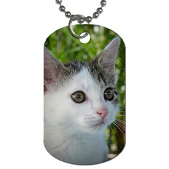 Young Cat Dog Tag (two-sided)  by Siebenhuehner