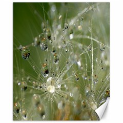 Dandelion Canvas 16  X 20  (unframed) by Siebenhuehner