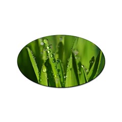 Grass Drops Sticker 10 Pack (oval) by Siebenhuehner