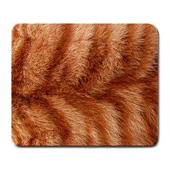 Cat Coat 1 Large Mouse Pad (rectangle)