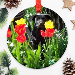 Black Gsd Pup Round Ornament by StuffOrSomething