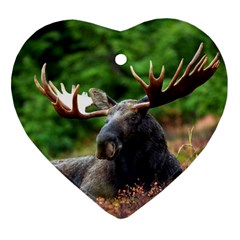 Majestic Moose Heart Ornament (two Sides) by StuffOrSomething