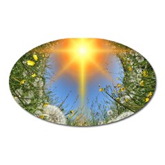 Dandelions Magnet (oval) by boho