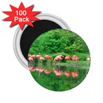 Flamingo Birds at lake 2.25  Button Magnet (100 pack) Front