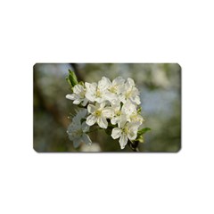 Spring Flowers Magnet (name Card) by anstey