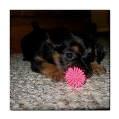 Puppy With A Chew Toy Tile Coasters by trendistuff