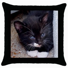 Kitty In A Corner Throw Pillow Cases (black) by trendistuff