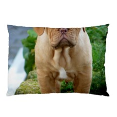 Cute Wrinkly Puppy Pillow Cases by trendistuff