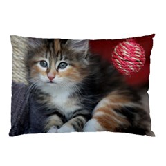 Comfy Kitty Pillow Cases by trendistuff