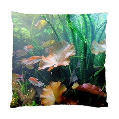 Marine Life Standard Cushion Case (one Side)  by trendistuff