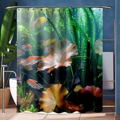 Marine Life Shower Curtain 60  X 72  (medium)  by trendistuff