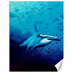 Hammerhead Canvas 12  X 16   by trendistuff