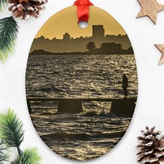 River Plater River Scene At Montevideo Ornament (oval) 