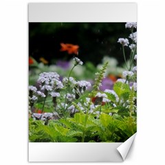 Wild Flowers Canvas 12  X 18   by picsaspassion