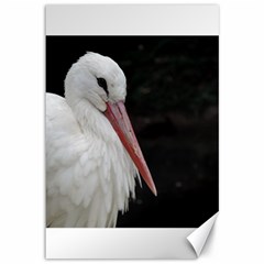 Stork Bird Canvas 12  X 18   by picsaspassion