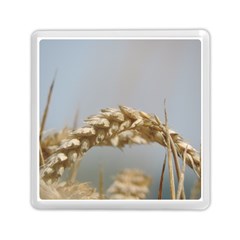 Cornfield Memory Card Reader (square) 