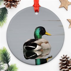 Swimming Duck Ornament (round)  by picsaspassion