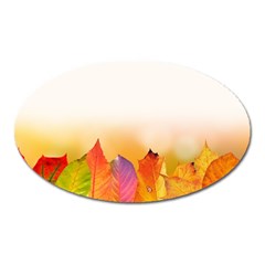 Autumn Leaves Colorful Fall Foliage Oval Magnet by Amaryn4rt