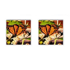 Monarch Butterfly Nature Orange Cufflinks (square) by Amaryn4rt