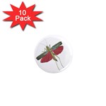 Grasshopper Insect Animal Isolated 1  Mini Magnet (10 pack)  Front