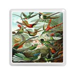 Beautiful Bird Memory Card Reader (Square)  Front