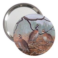 Bob White Quail 3  Handbag Mirrors by digitaldivadesigns