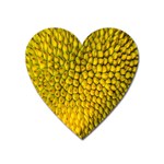 Jack Shell Jack Fruit Close Heart Magnet Front