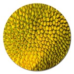 Jack Shell Jack Fruit Close Magnet 5  (Round) Front