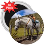 White Horse Tied Up at Cotopaxi National Park Ecuador 3  Magnets (10 pack)  Front