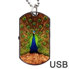 3d Peacock Bird Dog Tag Usb Flash (one Side) by Amaryn4rt