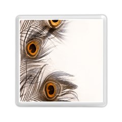 Peacock Feathery Background Memory Card Reader (square)  by Simbadda